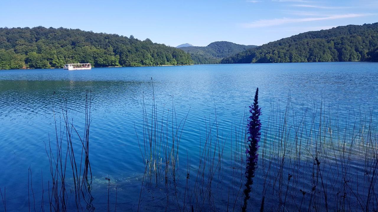 B&B Plitvice Lakes Villa Prica Plitvica selo Zewnętrze zdjęcie