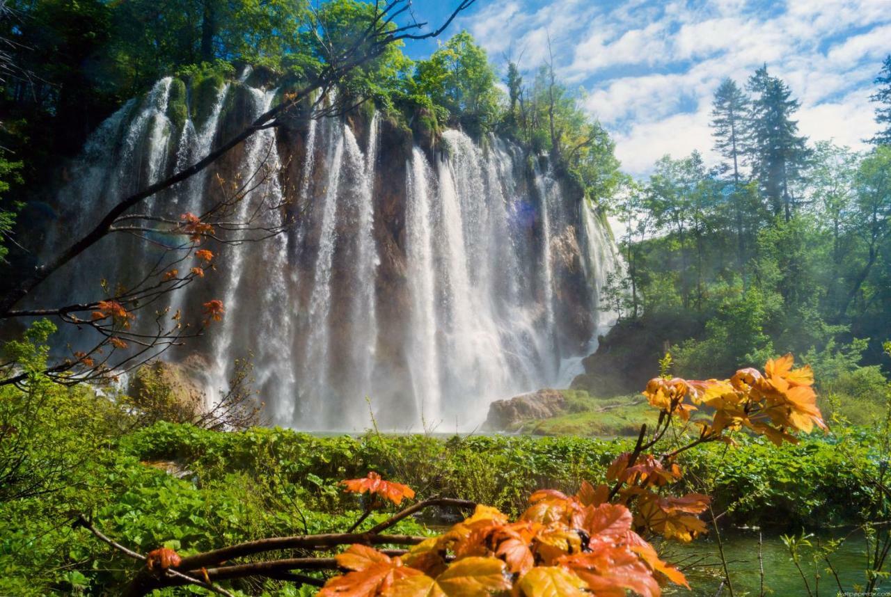 B&B Plitvice Lakes Villa Prica Plitvica selo Zewnętrze zdjęcie