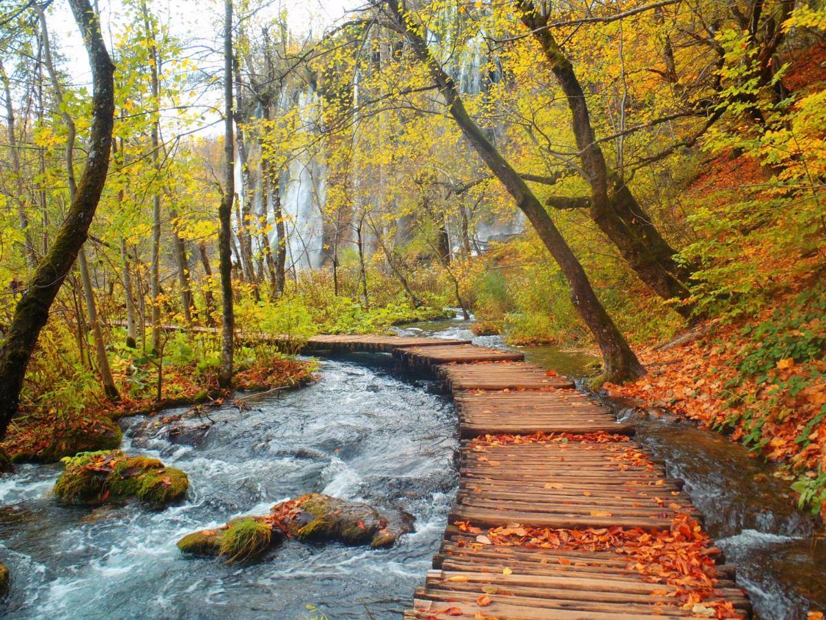 B&B Plitvice Lakes Villa Prica Plitvica selo Zewnętrze zdjęcie